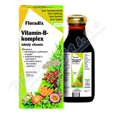 Salus Floradix Witamina -B-komplex 250ml