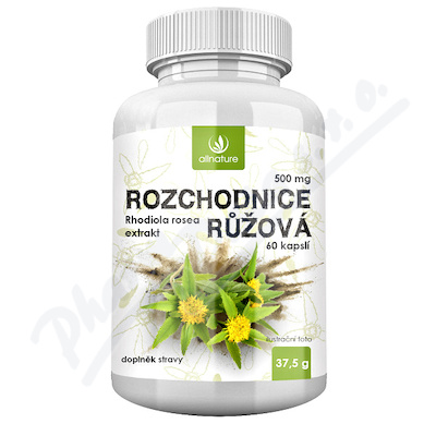 Allnature Różeniec Rhodiola Rosea 500mg cps.60