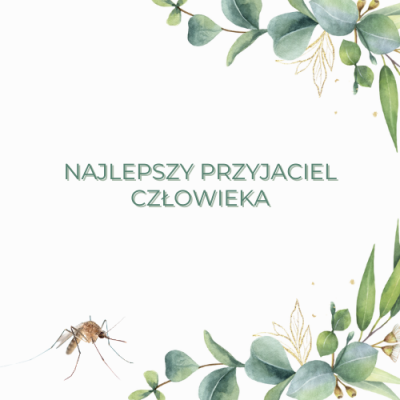  NAJLEPSZY PRZYJACIEL CZŁOWIEKA